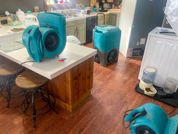 Best Flood damage cleanup  in Garden City, KS