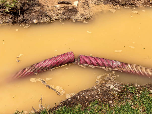 Best Fire Damage Restoration  in Garden City, KS