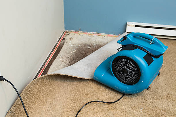 Best Local water damage restoration  in Garden City, KS